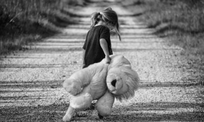girl walking teddy bear child walk 447701