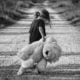 girl walking teddy bear child walk 447701