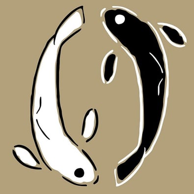 Yin Yang Ne Anlama Gelir