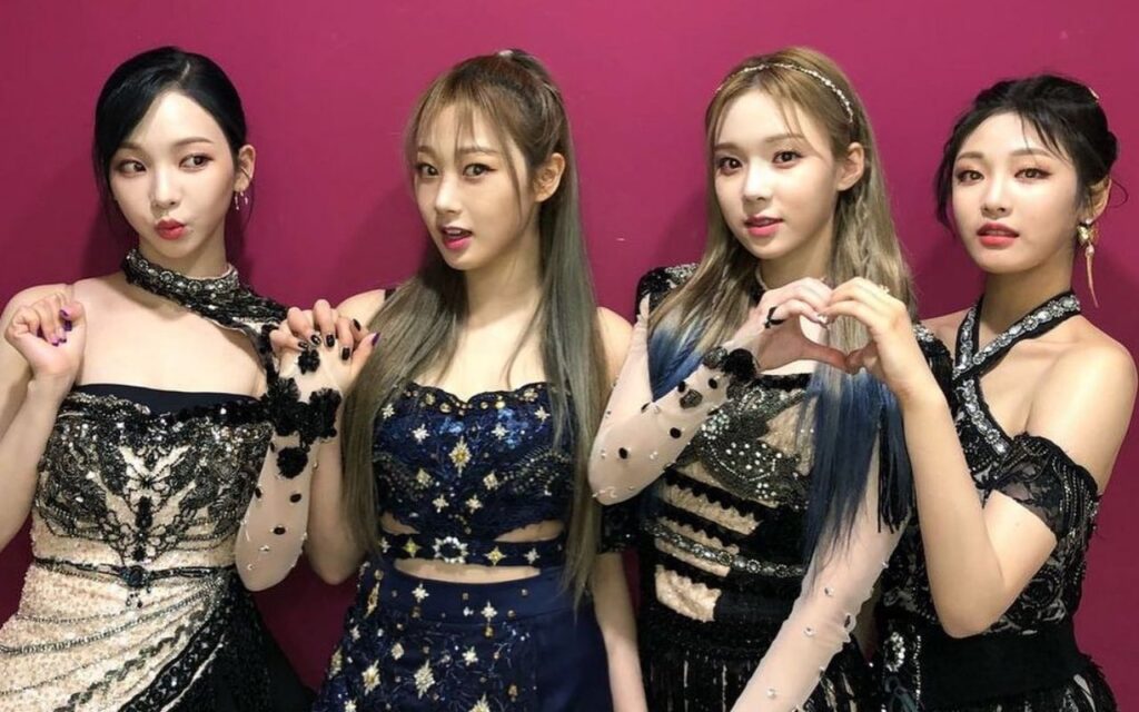 fancam ne demek