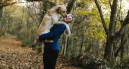 Köpeğinizle seyahat etmek
