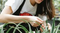 aloe vera jeli saça nasıl uygulanır