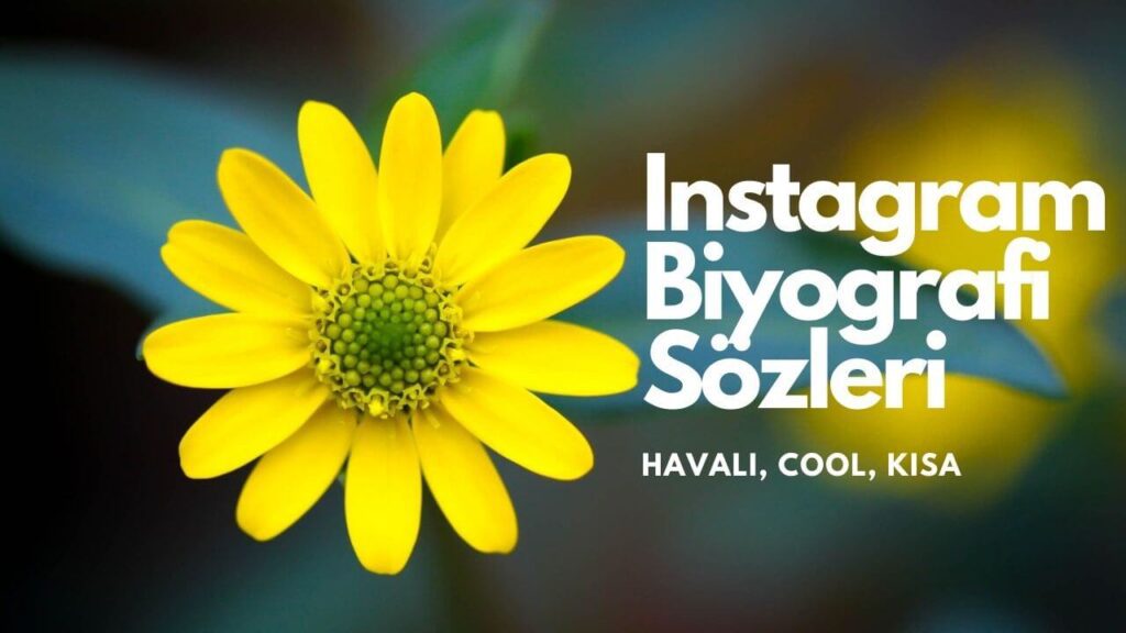 Instagram Biyografi Sözleri