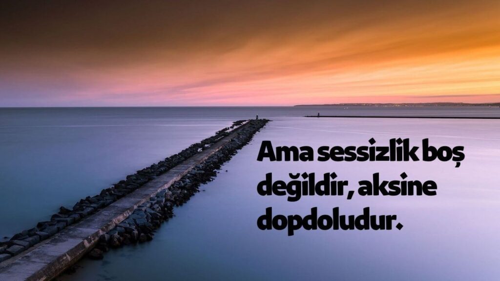 Instagram Biyografi Sözleri 2024