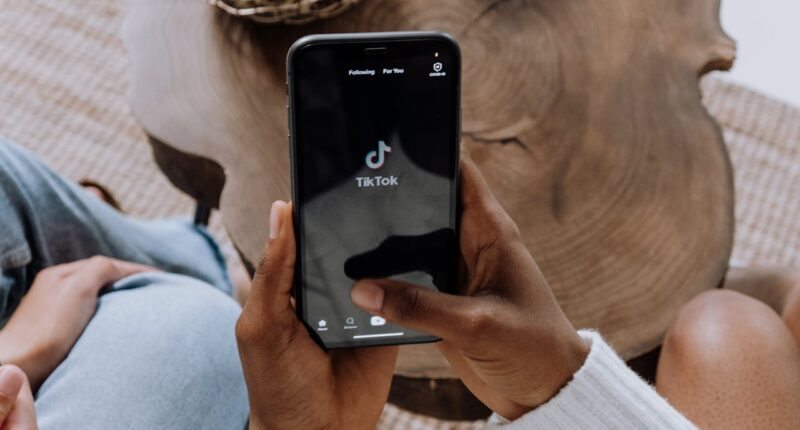 TikTok Kullanıcı Adları 2024